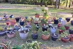 Sale Photo Thumbnail #5
