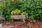 Sale Photo Thumbnail #60
