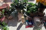 Sale Photo Thumbnail #27
