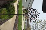 Sale Photo Thumbnail #47