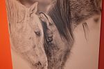 Sale Photo Thumbnail #52