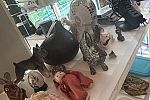 Sale Photo Thumbnail #22