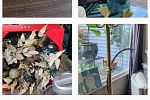 Sale Photo Thumbnail #4