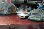 Sale Photo Thumbnail #31