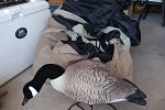 Sale Photo Thumbnail #20