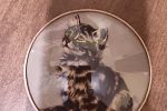 Sale Photo Thumbnail #36