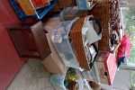 Sale Photo Thumbnail #4