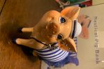 Sale Photo Thumbnail #11