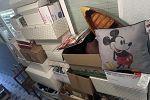 Sale Photo Thumbnail #11