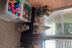 Sale Photo Thumbnail #19