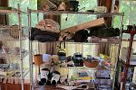 Sale Photo Thumbnail #4