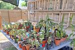 Sale Photo Thumbnail #12