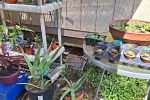 Sale Photo Thumbnail #11