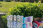 Sale Photo Thumbnail #3