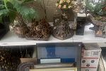 Sale Photo Thumbnail #36