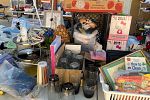 Sale Photo Thumbnail #10