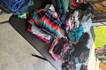 Sale Photo Thumbnail #4