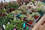 Sale Photo Thumbnail #9