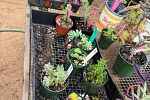 Sale Photo Thumbnail #19