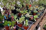 Sale Photo Thumbnail #14