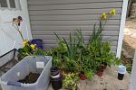 Sale Photo Thumbnail #33