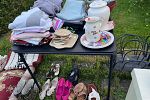 Sale Photo Thumbnail #5