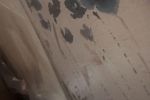 Sale Photo Thumbnail #44