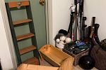 Sale Photo Thumbnail #13