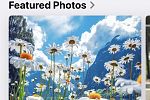 Sale Photo Thumbnail #7