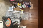 Sale Photo Thumbnail #11