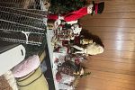 Sale Photo Thumbnail #19