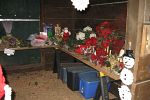 Sale Photo Thumbnail #16