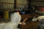 Sale Photo Thumbnail #23