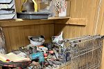 Sale Photo Thumbnail #6