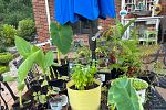 Sale Photo Thumbnail #20