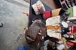 Sale Photo Thumbnail #17