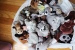 Sale Photo Thumbnail #4