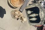 Sale Photo Thumbnail #16