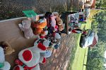 Sale Photo Thumbnail #13