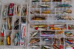 Sale Photo Thumbnail #90