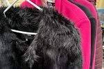 Sale Photo Thumbnail #9