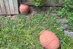 Sale Photo Thumbnail #33