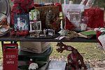 Sale Photo Thumbnail #8