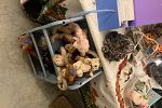 Sale Photo Thumbnail #39