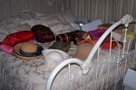 Sale Photo Thumbnail #56
