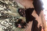 Sale Photo Thumbnail #22