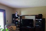 Sale Photo Thumbnail #12