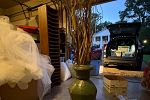 Sale Photo Thumbnail #32
