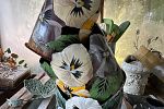 Sale Photo Thumbnail #30