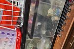 Sale Photo Thumbnail #21